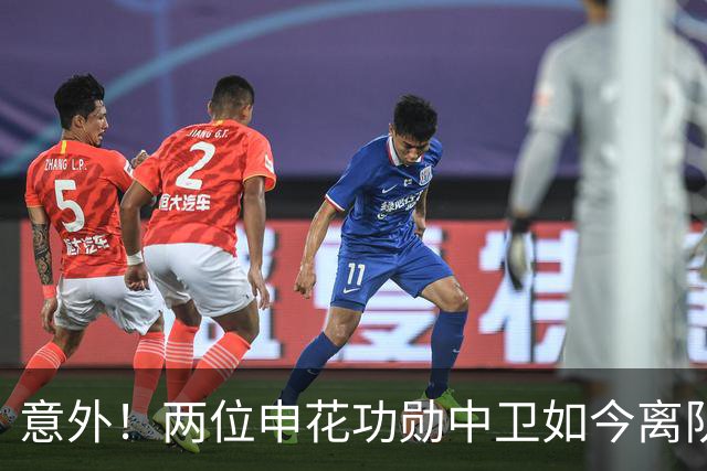 意外！两位申花功勋中卫如今离队后在中乙俱乐部再聚首，引发热议